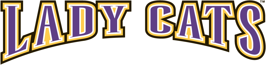 Western Carolina Catamounts 1996-2007 Wordmark Logo diy iron on heat transfer